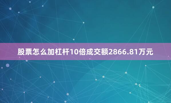 股票怎么加杠杆10倍成交额2866.81万元