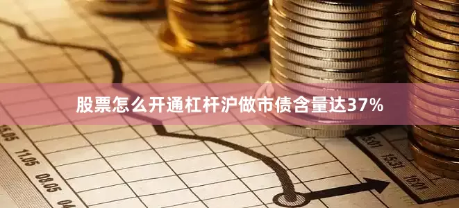 股票怎么开通杠杆沪做市债含量达37%