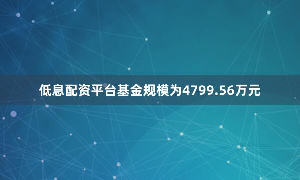 低息配资平台基金规模为4799.56万元