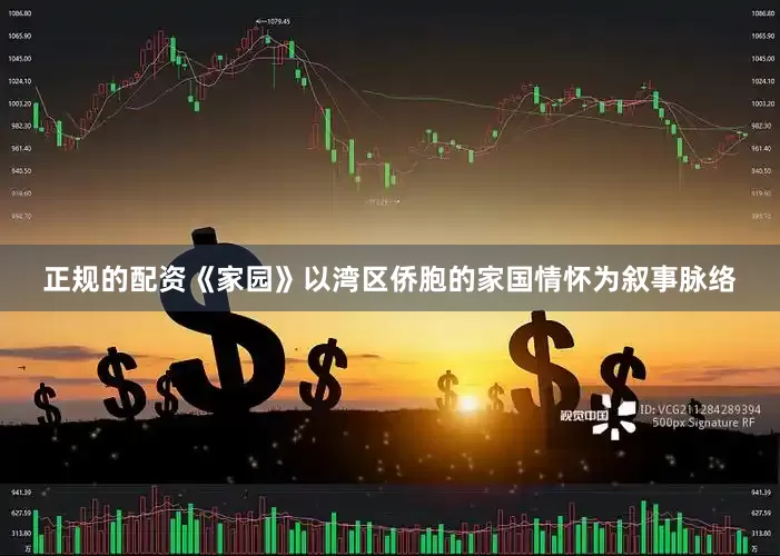 正规的配资《家园》以湾区侨胞的家国情怀为叙事脉络
