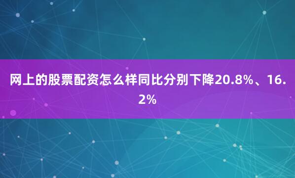 网上的股票配资怎么样同比分别下降20.8%、16.2%