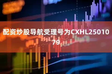 配资炒股导航受理号为CXHL2501079