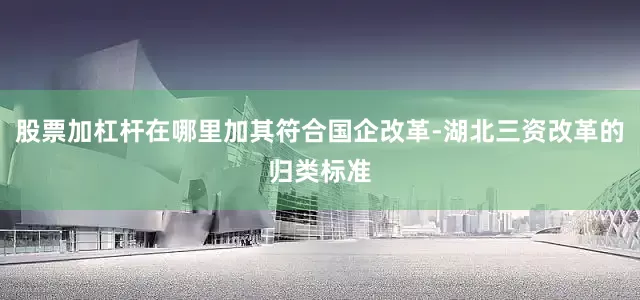 股票加杠杆在哪里加其符合国企改革-湖北三资改革的归类标准